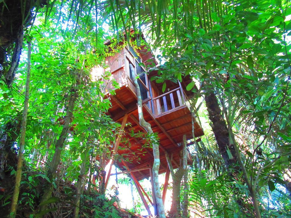 Hars Garden Tree Houses Hotel Ubud Buitenkant foto
