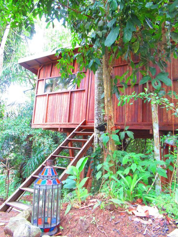 Hars Garden Tree Houses Hotel Ubud Buitenkant foto