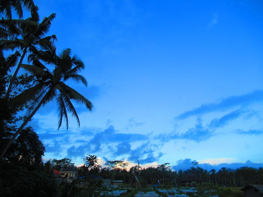 Hars Garden Tree Houses Hotel Ubud Buitenkant foto