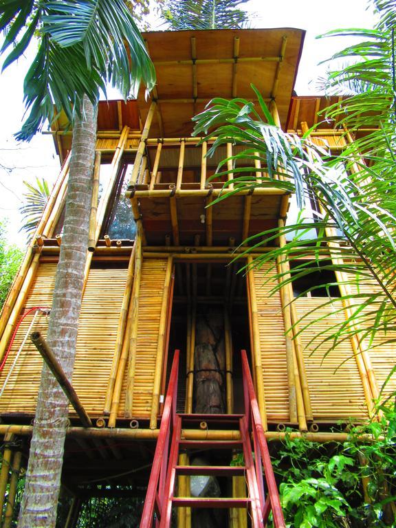 Hars Garden Tree Houses Hotel Ubud Buitenkant foto